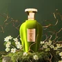 Emir Voux Zingy Agua de perfume Unisex 100 ml